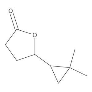 5-(2,2-Dimethylcyclopropyl)oxolan-2-one Structure