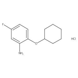 2-Cyclohexyloxy-5-fluoroaniline;hydrochloride结构式