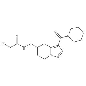 2-Chloro-N-[[3-(morpholine-4-carbonyl)-4,5,6,7-tetrahydropyrazolo[1,5-a]pyridin-5-yl]methyl]acetamide Structure