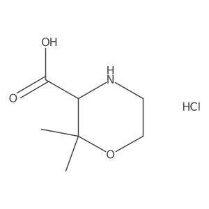 2,2-Dimethylmorpholine-3-carboxylic acid;hydrochloride Structure