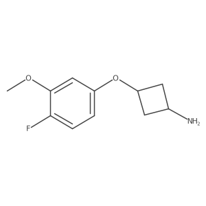 3-(4-Fluoro-3-methoxyphenoxy)cyclobutan-1-amine结构式