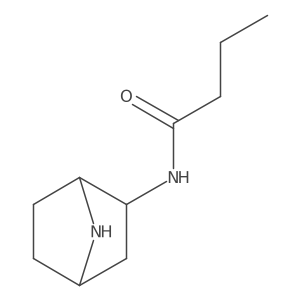 N-{7-azabicyclo[2.2.1]heptan-2-yl}butanamide Structure