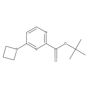 2445224-41-7 structure