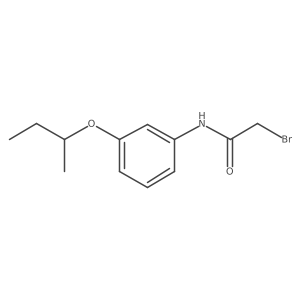 2-Bromo-N-[3-(sec-butoxy)phenyl]acetamide Structure