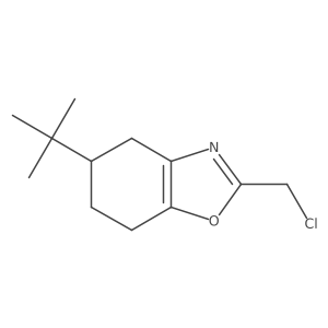 5-Tert-butyl-2-(chloromethyl)-4,5,6,7-tetrahydro-1,3-benzoxazole Structure