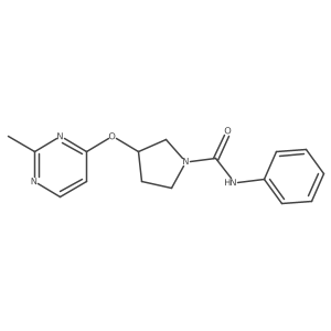 3-[(2-methylpyrimidin-4-yl)oxy]-N-phenylpyrrolidine-1-carboxamide结构式