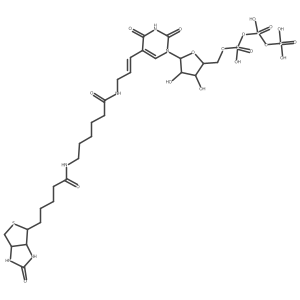 [[5-[2,4-dioxo-5-[(E)-3-[6-[5-(2-oxo-1,3,3a,4,6,6a-hexahydrothieno[3,4-d]imidazol-4-yl)pentanoylamino]hexanoylamino]prop-1-enyl]pyrimidin-1-yl]-3,4-dihydroxyoxolan-2-yl]methoxy-hydroxyphosphoryl] phosphono hydrogen phosphate Structure