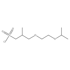 2-Methyl-3-[2-(propan-2-yloxy)ethoxy]propane-1-sulfonyl chloride结构式
