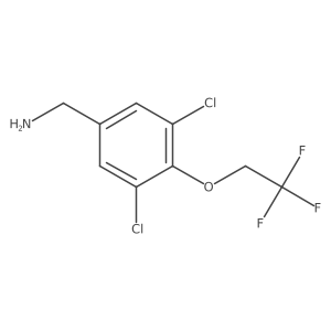 2167879-93-6 structure