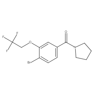 [4-Bromo-3-(2,2,2-trifluoroethoxy)phenyl](pyrrolidin-1-yl)methanone结构式