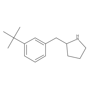 2-[(3-Tert-butylphenyl)methyl]pyrrolidine结构式