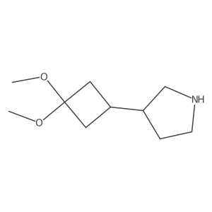 3-(3,3-Dimethoxycyclobutyl)pyrrolidine Structure