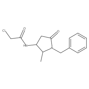 N-(1-Benzyl-2-methyl-5-oxopyrrolidin-3-yl)-2-chloroacetamide Structure