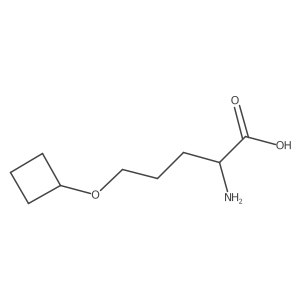 (2R)-2-amino-5-cyclobutoxypentanoic acid Structure