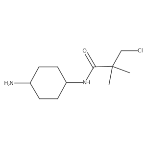 N-(4-aminocyclohexyl)-3-chloro-2,2-dimethylpropanamide Structure