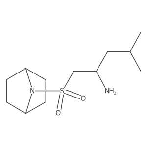1-{7-Azabicyclo[2.2.1]heptane-7-sulfonyl}-4-methylpentan-2-amine Structure