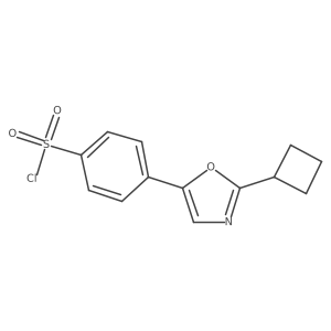 4-(2-Cyclobutyloxazol-5-yl)benzene-1-sulfonyl chloride结构式