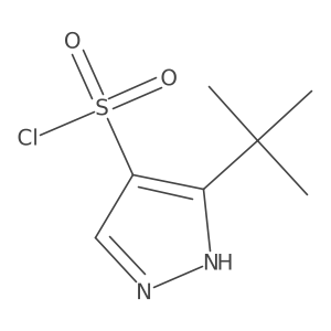 5-tert-butyl-1H-pyrazole-4-sulfonyl chloride Structure