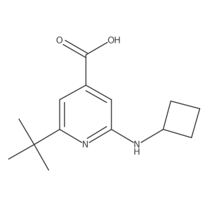 2-Tert-butyl-6-(cyclobutylamino)pyridine-4-carboxylic acid Structure