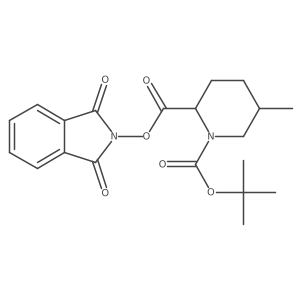 rac-1-tert-butyl 2-(1,3-dioxo-2,3-dihydro-1H-isoindol-2-yl) (2R,5R)-5-methylpiperidine-1,2-dicarboxylate结构式