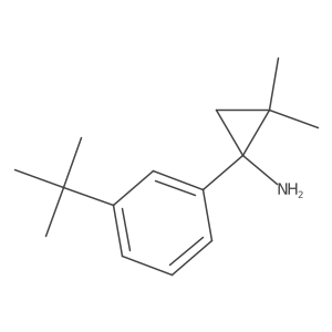 1-(3-Tert-butylphenyl)-2,2-dimethylcyclopropan-1-amine结构式