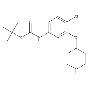 tert-butyl N-[4-chloro-3-(piperidin-4-yloxy)phenyl]carbamate Structure