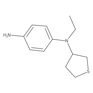 N1-ethyl-N1-(tetrahydrothiophen-3-yl)benzene-1,4-diamine Structure