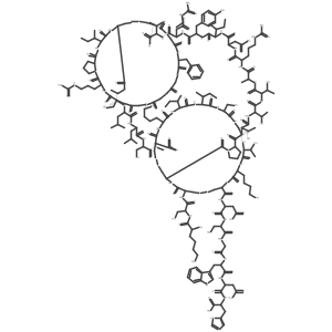 Phoratoxin B (reduced) 46 Structure