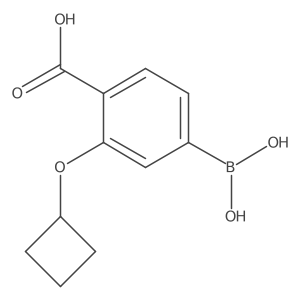 4-Borono-2-(cyclobutyloxy)benzoic acid结构式