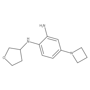 4-(1-Azetidinyl)-N1-(tetrahydro-3-furanyl)-1,2-benzenediamine结构式