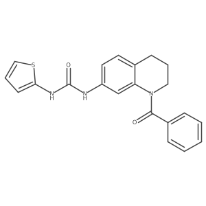 1-(1-Benzoyl-1,2,3,4-tetrahydroquinolin-7-yl)-3-(thiophen-2-yl)urea Structure