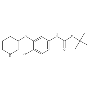 2228248-04-0 structure