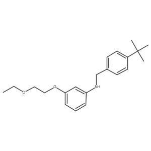 N-[4-(Tert-butyl)benzyl]-3-(2-ethoxyethoxy)aniline Structure