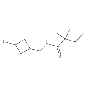 N-[(3-bromocyclobutyl)methyl]-3-chloro-2,2-dimethylpropanamide Structure