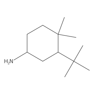 3-Tert-butyl-4,4-dimethylcyclohexan-1-amine结构式