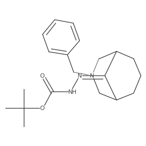 N'-{3-benzyl-3-azabicyclo[3.3.1]nonan-9-ylidene}(tert-butoxy)carbohydrazide结构式