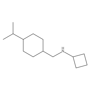 N-{[4-(propan-2-yl)cyclohexyl]methyl}cyclobutanamine结构式