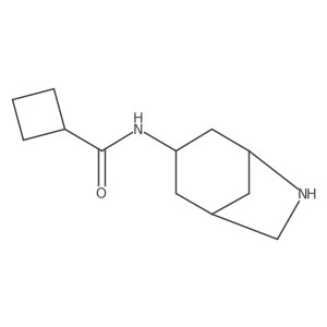 N-{6-azabicyclo[3.2.1]octan-3-yl}cyclobutanecarboxamide结构式