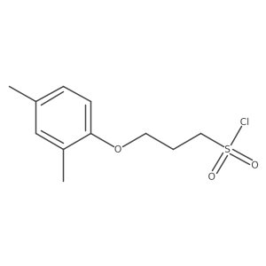 3-(2,4-Dimethylphenoxy)propane-1-sulfonyl chloride结构式