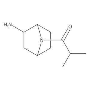 1-{2-Amino-7-azabicyclo[2.2.1]heptan-7-yl}-2-methylpropan-1-one Structure
