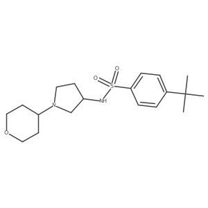 4-tert-butyl-N-[1-(oxan-4-yl)pyrrolidin-3-yl]benzene-1-sulfonamide Structure