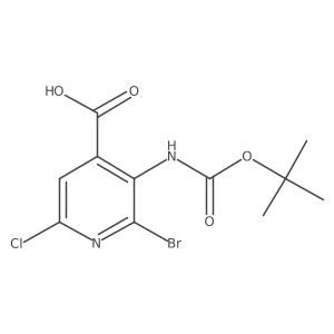2580205-56-5结构式