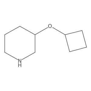 3-Cyclobutoxypiperidine结构式