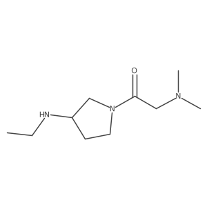 2-(Dimethylamino)-1-[3-(ethylamino)pyrrolidin-1-yl]ethan-1-one Structure