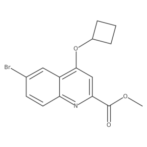 Methyl 6-bromo-4-cyclobutoxyquinoline-2-carboxylate结构式