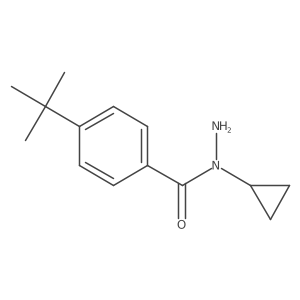 4-(tert-Butyl)-N-cyclopropylbenzohydrazide结构式