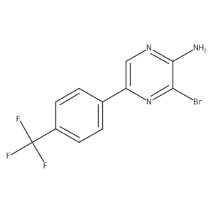 2809955-52-8 structure