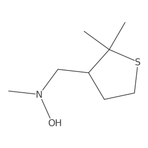 N-[(2,2-dimethylthiolan-3-yl)methyl]-N-methylhydroxylamine结构式