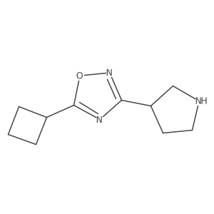 5-Cyclobutyl-3-(pyrrolidin-3-yl)-1,2,4-oxadiazole结构式