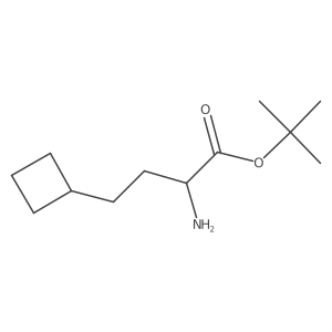 Tert-butyl 2-amino-4-cyclobutylbutanoate Structure